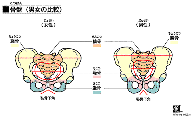 Ղ̒j